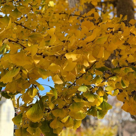 Meet your Posher, Marika - Picture 1 of 1